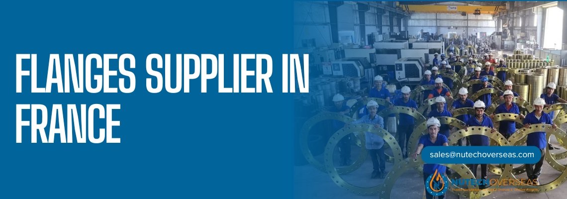 flanges supplier in france