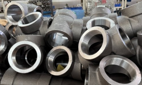 Nutech Overseas Factory Images